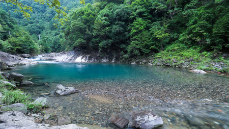 Mountain river with clear blue water and green forest in the background