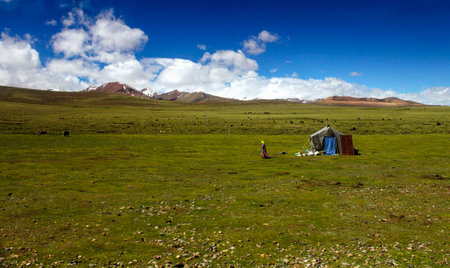 Herders on the steppe with highland yurtsの写真素材
