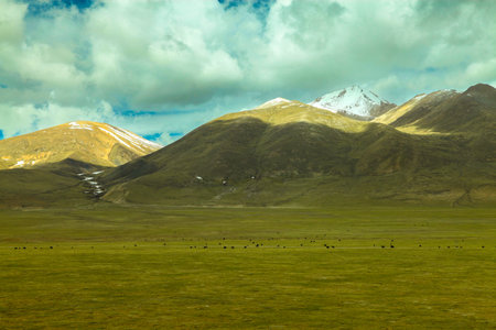 Mountain landscape with cloudy sky in the steppe, pastures under snow-capped mountains on the plateau, Tibet, Chinaの写真素材