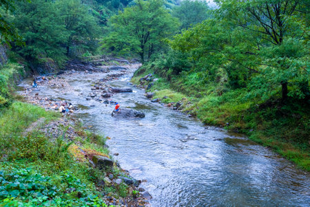 Mountain river in the middle of a green forest with people.の写真素材