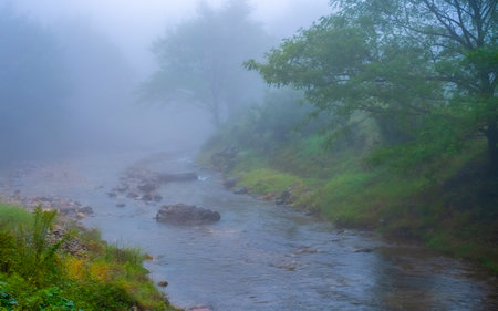 Foggy morning on the mountain river. Foggy landscape.の写真素材