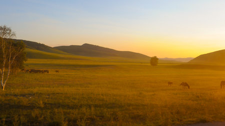 Sunset in the Mongolian steppe, Mongolia, China.の写真素材