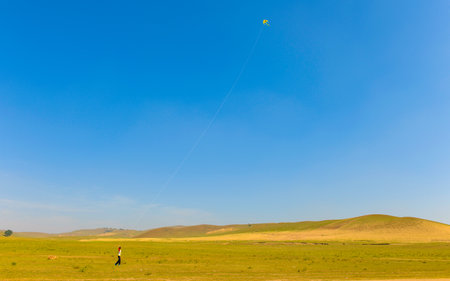 kite flying in the blue sky in the steppe of Kazakhstanの写真素材