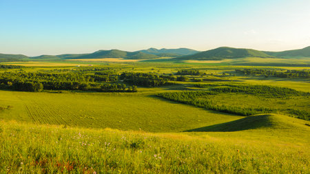 Green meadow landscape with blue sky and clouds at sunset. Mongolian steppe, Chinaの写真素材
