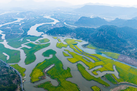 Aerial view of the rape field in Taojiang, Linhai, Zhejiang, Chinaの写真素材