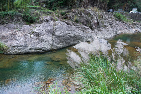 Mountain river with clear water and green grass in the forest.