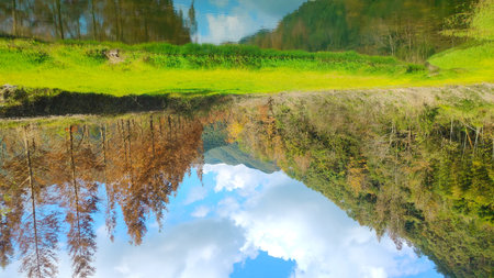 Reflection of trees in the water. Spring landscape with green grass and blue sky.