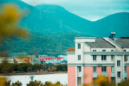 miscellaneous imagesの写真素材