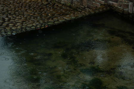 miscellaneous imagesの写真素材
