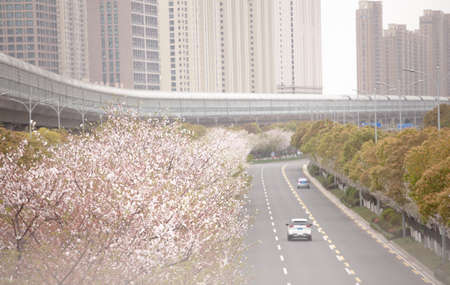 miscellaneous imagesの写真素材