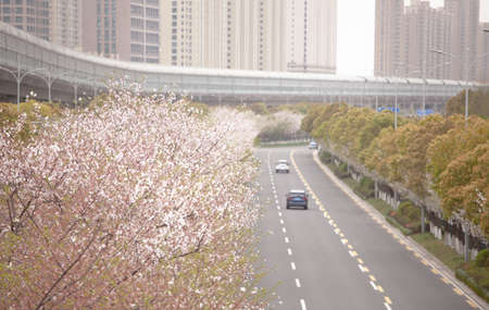 miscellaneous imagesの写真素材