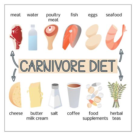 Vector illustration image of products for carnivore diet.のイラスト素材