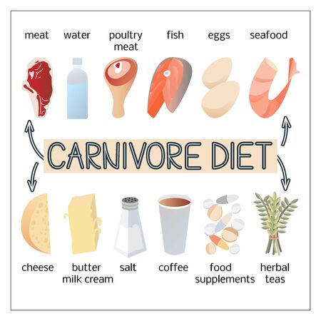 Vector illustration image of products for carnivore diet.