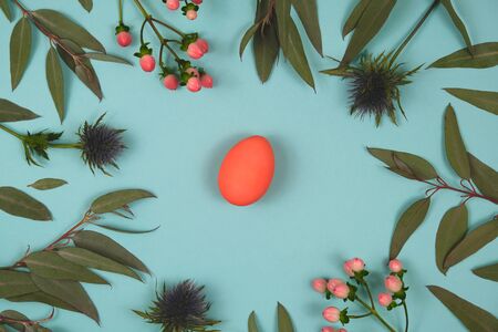 Red easter egg on a blue background in eucalyptus leaves and thistle. View from above.