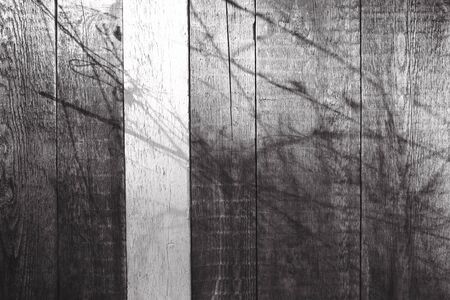 Beautiful old gray boards close-up. Background for your lettering, substrate for design.の写真素材