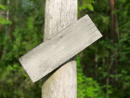 A post with a sign of aged wood on a background of blurred green foliage. Side view, close up. There is a place for inscription.の写真素材