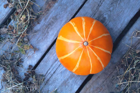 Orange pumpkin on old boards and dry grass.