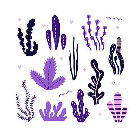 Vector illustration set of decorative seaweed.Pink and purple color. Poster, for printing on textiles, for wall design. Hand-drawn styleのイラスト素材