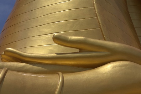 Buddha handの写真素材