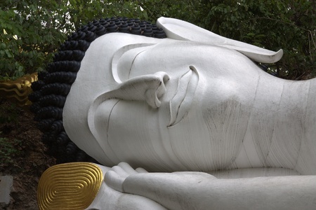 Portrait of a Buddha statue の写真素材