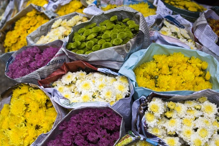 flowers in the marketのeditorial素材