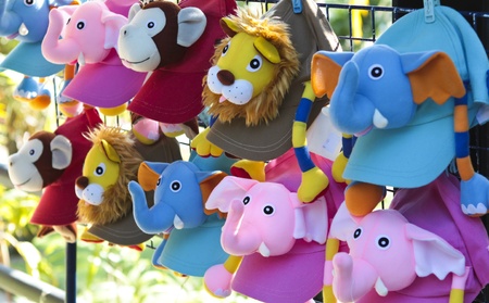 kiddy capのeditorial素材