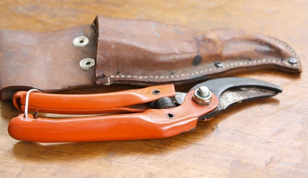 share cut branchesの写真素材