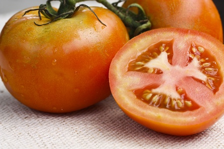 tomatoesの写真素材