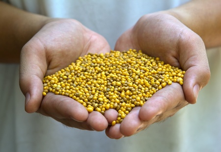 Fertilizerの写真素材