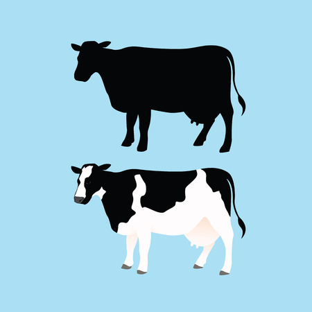 Cow Silhouettes and Color Cowのイラスト素材