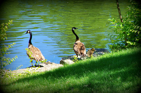 Arrayの写真素材