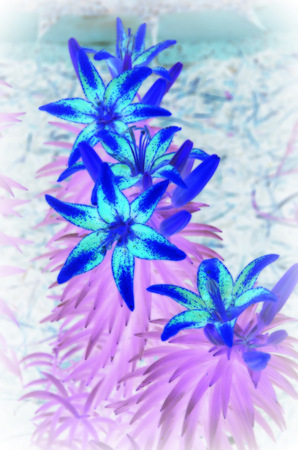 Stylized Liliesの写真素材