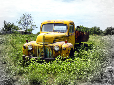 Old Ford Truck in an Overgrown Pasture in Southeast Kansasの写真素材