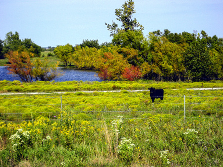 Pasture Along Highway 400 Traveling West Toward Wichitaの写真素材