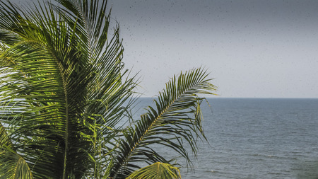 Overcast tropical View Santo Domingo beach Ometepe Island Rivas Nicaragua.の写真素材