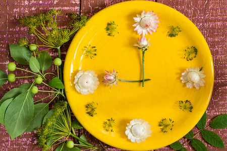 Time of autumn: the flower clock on a yellow plate, a branch of Chinese apple and dill umbrellas on burgundy cracked wooden backgroundの写真素材