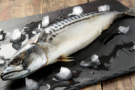 Fresh mackerel cooled with ice on a slate boardの写真素材