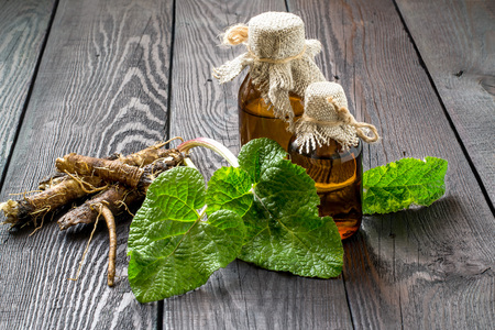 Medicinal plant - a burdock. The roots and leaves of burdock, burdock oil in bottles on a wooden...