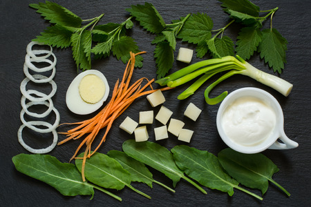 Ingredients for preparation Russian traditional vitamin soup of sorrel and nettles on slate surface. Flat layの写真素材