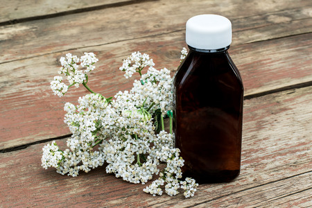 Medicinal plant yarrow (achillea millefolium) and pharmaceutical bottle on old wooden table. Yarrow - a popular means of treatment in herbal medicine, has anti-inflammatory and antiseptic propertiesの写真素材