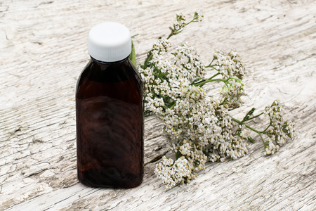 Medicinal plant yarrow (achillea millefolium) and pharmaceutical bottle on old wooden table. Yarrow - a popular means of treatment in herbal medicine, has anti-inflammatory and antiseptic propertiesの写真素材