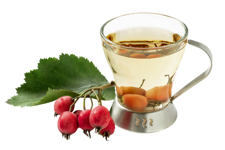 Useful fruit tea with hawthorn (Crataegus) isolated on white background. Used in healthy nutrition and herbal medicineの写真素材