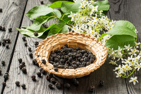 Medicinal plant bird cherry (Prunus padus). Flowering branches and dried berries in a wicker bowl on a dark old wooden table. Selective focusの写真素材