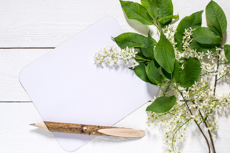 Flowering bird cherry branch with a card for the text on a white wooden background. Can be used as floral backgrounds, holiday greetings and invitations postcardsの写真素材