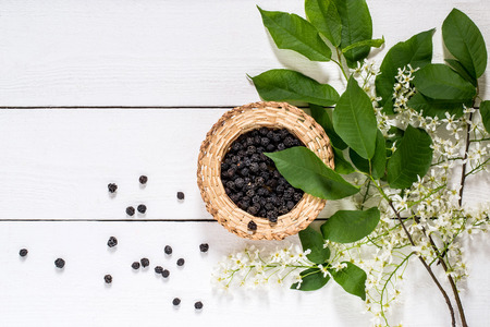 Medicinal plant bird cherry (Prunus padus). Flowering branches and dried berries in a wicker bowl on a white wooden table. Top viewの写真素材