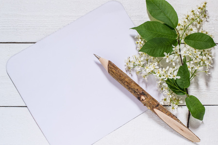 Flowering bird cherry branch with a card for the text on a white wooden background. Can be used as floral backgrounds, holiday greetings and invitations cardsの写真素材