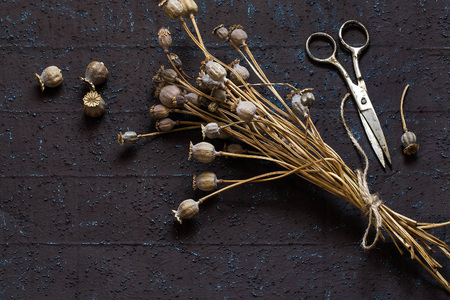 Dry poppy capsules with seeds. Seeds are used for baking and making confectionery. Bouquet of dry poppy capsules and scissors on brown textural background with copy spaceの写真素材