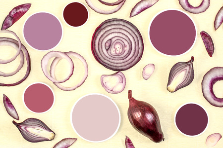 Red onions (halves, rings, slices) and color samples. Natural color palette. Shades of purple. Discover color. Place for inscriptions. Top viewの写真素材