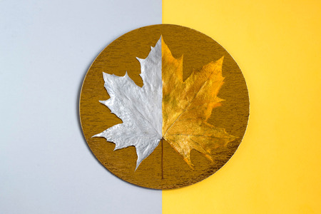 Gold and silver maple leaf on gold foil circle. Approach of autumn. Minimal style. Colorful two-tone autumn backgroundの写真素材