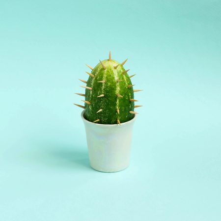 Cactus made from cucumber on pastel light blue background. Minimal style. Creative idea, imagination and fantasy. Original vegetarian conceptの写真素材